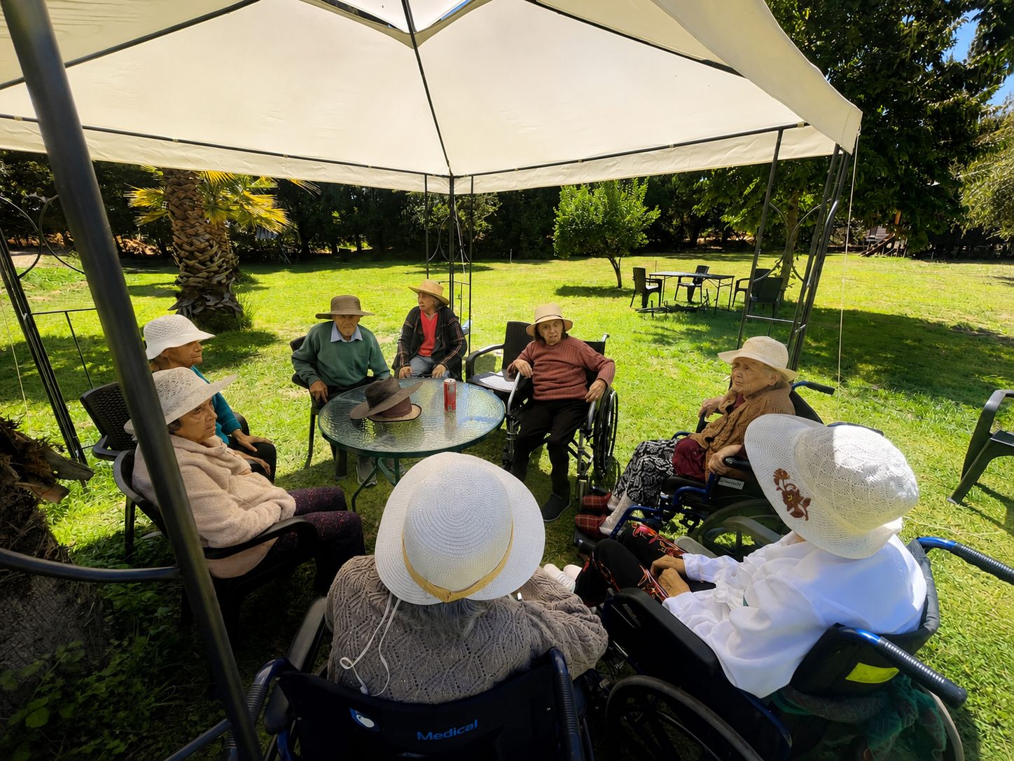 Personas mayores compartiendo una actividad al aire libre en el jardín